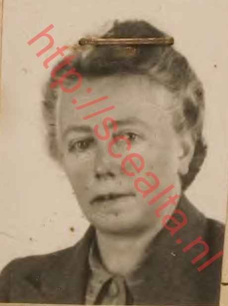 Maria Hendrika te Nijenhuis