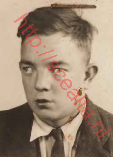 Cornelis Ravesteijn